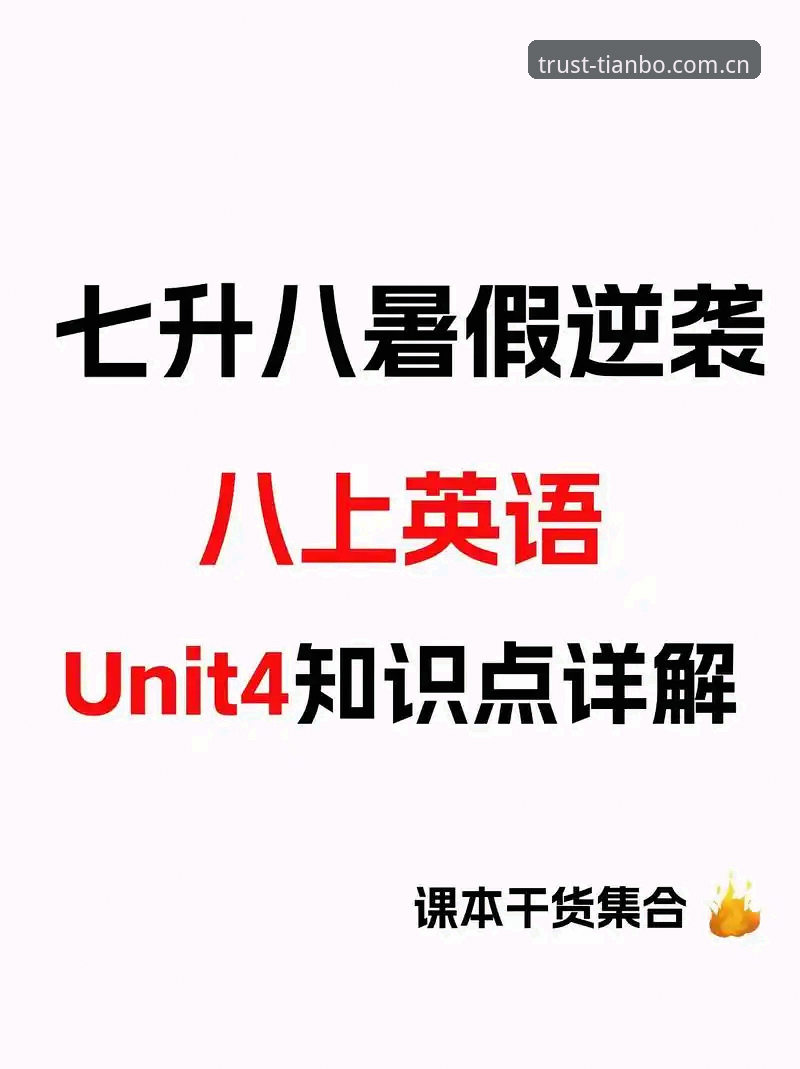 天博2024版深度解析：老用户亲测体验与实用指南分享
